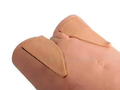 P10043 Манекен-симулятор для отработки навыков пальпаторного обследования лимфатических узлов с электронным контроллером ВОЛОДЯ-ЛИМФ