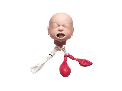 1017954 Симулятор работы с дыхательными путями младенца со стойкой