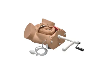 Акушерский симулятор Obstetric Susie