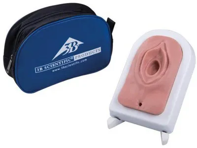 1019639 Акушерский тренажер эпизиотомии и наложения швов