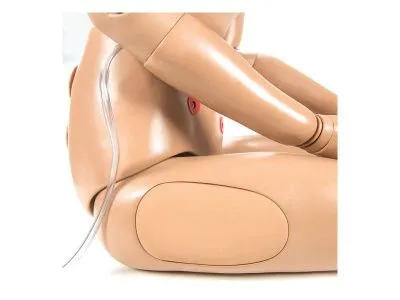 1017543 Тренажер неотложной помощи CPR SUSIE® для ухода за пациентом и реанимации