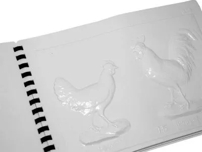 Пособие для детей с нарушением зрения. Дикие млекопитающие_4