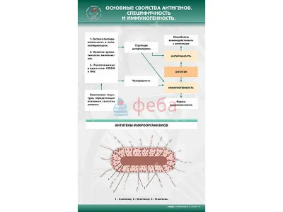 310_МУ0239_Основные_свойства_антигенов