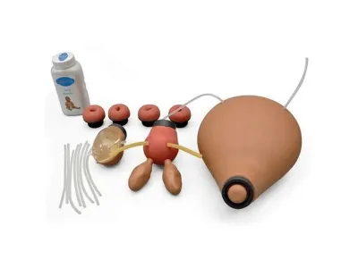 Гинекологический тренажер ZOE для исследования, лапароскопии, контрацепции_3