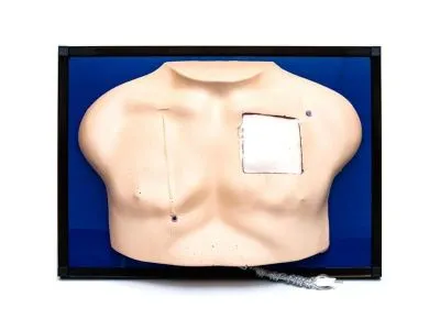 Модель класса «люкс» для венозного доступа