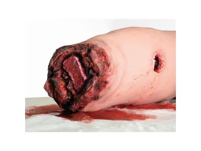 1023106 Нога-тренажер для обучения остановки кровотечения P103493