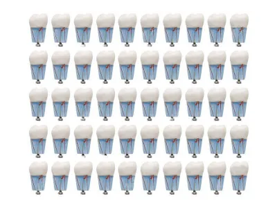 М0369 Комплект из 50 модельных зубов одного номера З-32-1.50Э