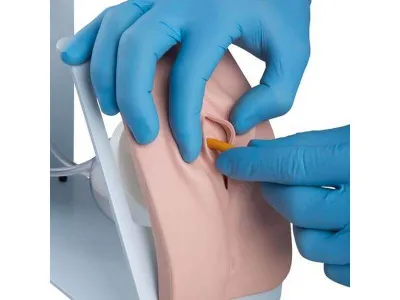 1020842 Комплект тренажеров BASIC для катетеризации мочевого пузыря у мужчин и женщин