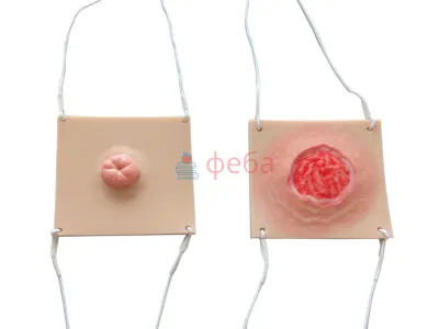 310_МУ0513_Комплект_накладных_моделей_1