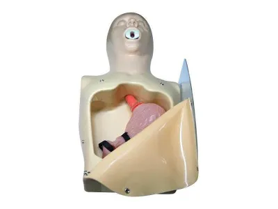 МУ0019 Лабораторно-диагностический учебный комплекс «Желудочно-кишечный тракт»