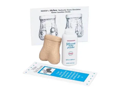 1005640 Модель яичек для самостоятельного обследования