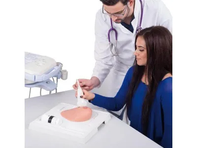 1019634 Модель молочной железы с кистами SONOtrain™ с возможностью УЗИ-обследования