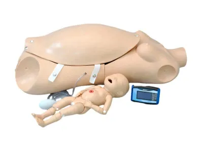 NOELLE® родовый симулятор (торс без СЛР)