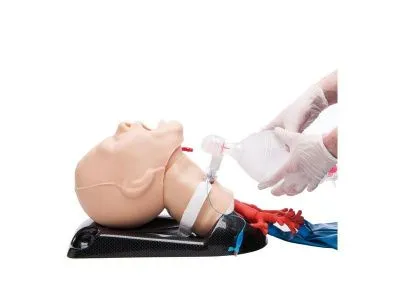 1021550 Расширенный тренажер AirSim Combo Bronchi X для практики с дыхательными путями