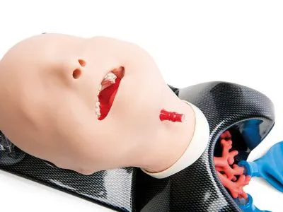 1021897 Тренажер AirSim Child Bronchi X для интубации ребенка 6-ти лет