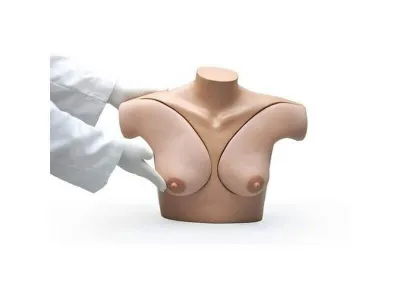 Тренажер самообследования груди_1