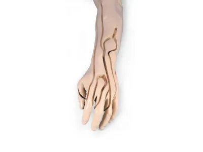 1005678 Усовершенствованный тренажер для венопункции и инъекции, рука