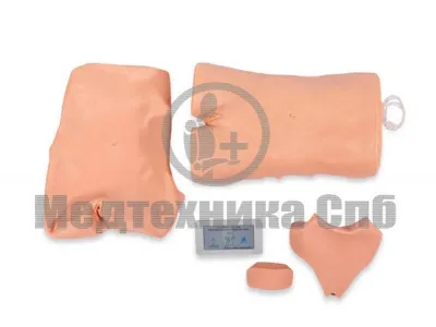 P1047 Тренажер ВОЛОДЯ-АБДОМЕН для отработки навыков перкуссии и пункции брюшной полости, катетеризации мочевого пузыря с электронным контроллером (ТРЕНАЖЕР АСЦИТА)