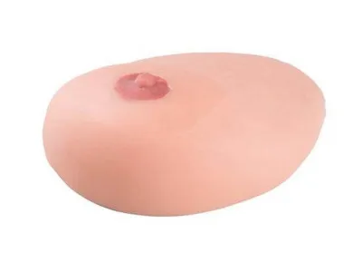 1019634 Модель молочной железы с кистами SONOtrain™ с возможностью УЗИ-обследования