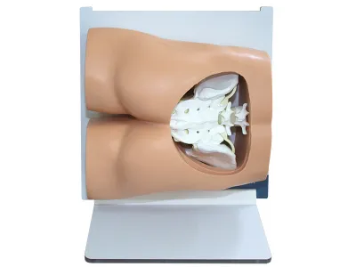 310_МУ0606_Тренажер_навыков_костной_биопсии_5