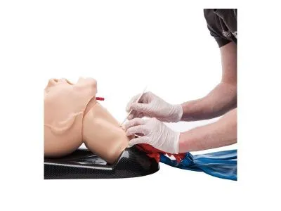 1021550 Расширенный тренажер AirSim Combo Bronchi X для практики с дыхательными путями