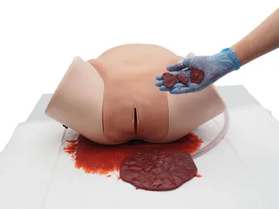 1023727 Тренажер для остановки послеродового кровотечения