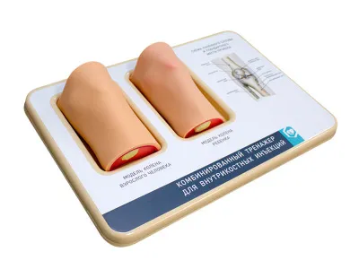 М0014 Комбинированный тренажер для внутрикостных инъекций