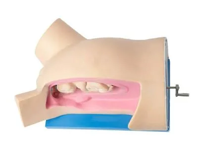 P6 Тренажер для демонстрации процесса родов