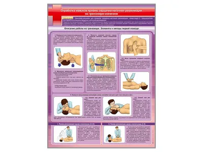 С1002 Стенд «Отработка приемов сердечно-легочной реанимации на тренажере-манекене»