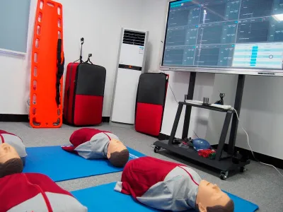 J204R Манекен-тренажер Володя №10 для обучения СЛР (2 тренажера)