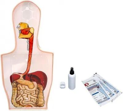 310_МУ0077_Тренажер_гастроскопии_катетеризации_4