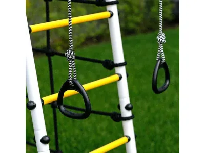 Детский спортивный комплекс для дачи ROMANA Богатырь MAX Плюс-2_3