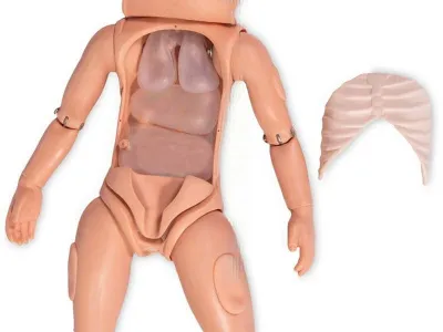 МАЛЫШ 1 Манекенребенка 3 лет для отработки навыков ухода