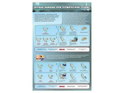 Комплект дидактических модулей «Способы остановки кровотечения, сердечно-легочная реанимация, транспортные положения, первая помощь при скелетной травме, ранениях и термической травме», 5 шт._4