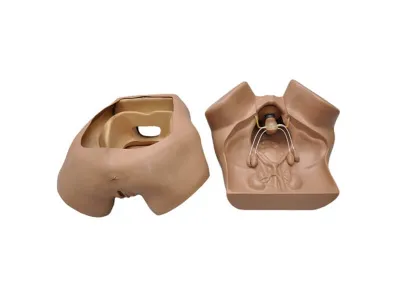 Гинекологический тренажер ZOE для исследования, лапароскопии, контрацепции