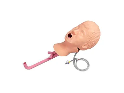 1019787 Тренажер для продвинутого обучения по восстановлению проходимости дыхательных путей у детей