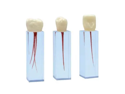 Комплект эндоблоков ЭБ-1.03 М0375 Комплект эндоблоков ЭБ-1.03