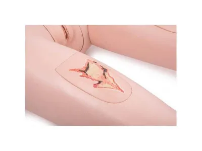 1018816 Манекен для ухода за пациентами PRO