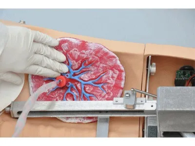 NOELLE® родовый симулятор (торс без СЛР)_1