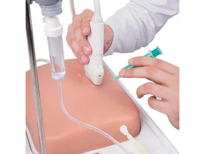 1019637 Модель вен SONOtrain™ для УЗИ