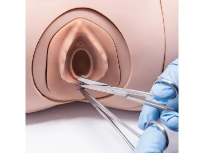 Модуль для обучения наложению швов к имитатору родов 1022879_4