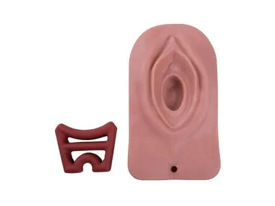 1019639 Акушерский тренажер эпизиотомии и наложения швов