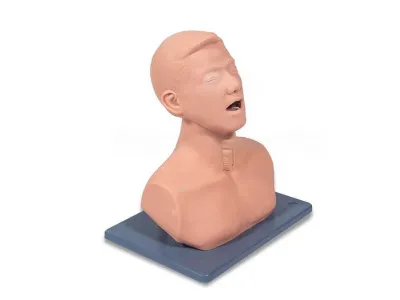 P1049 Манекен-тренажёр для отработки навыков тирокрикоцентеза, крикотиротомии и трахеотомии ВОЛОДЯ-КРИКО ЛОР