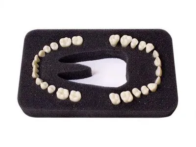 М0268 Комплект из 28 модельных зубов З-28У