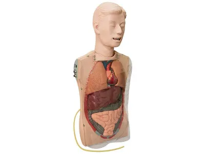 М0535 Манекен для отработки навыков промывания желудка