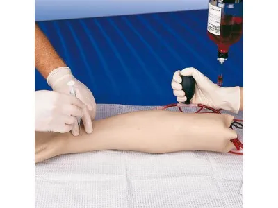 1005598 Тренажер для пункций артерии, рука