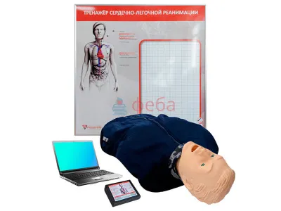 М1073 Тренажер для отработки навыков СЛР с компьютерной регистрацией показателей «Володя-05»