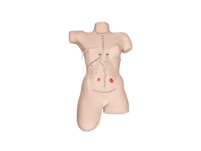 1005590 Тренажер для наложения повязок