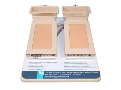 М0060 Тренажер для отработки навыков забора крови из вен (на фантомах с различной степенью венозной доступности)