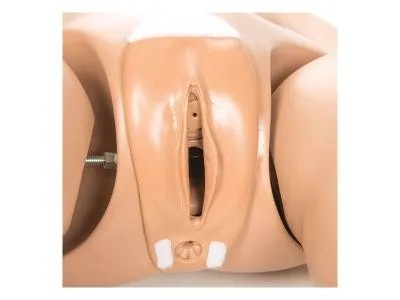 1017543 Тренажер неотложной помощи CPR SUSIE® для ухода за пациентом и реанимации